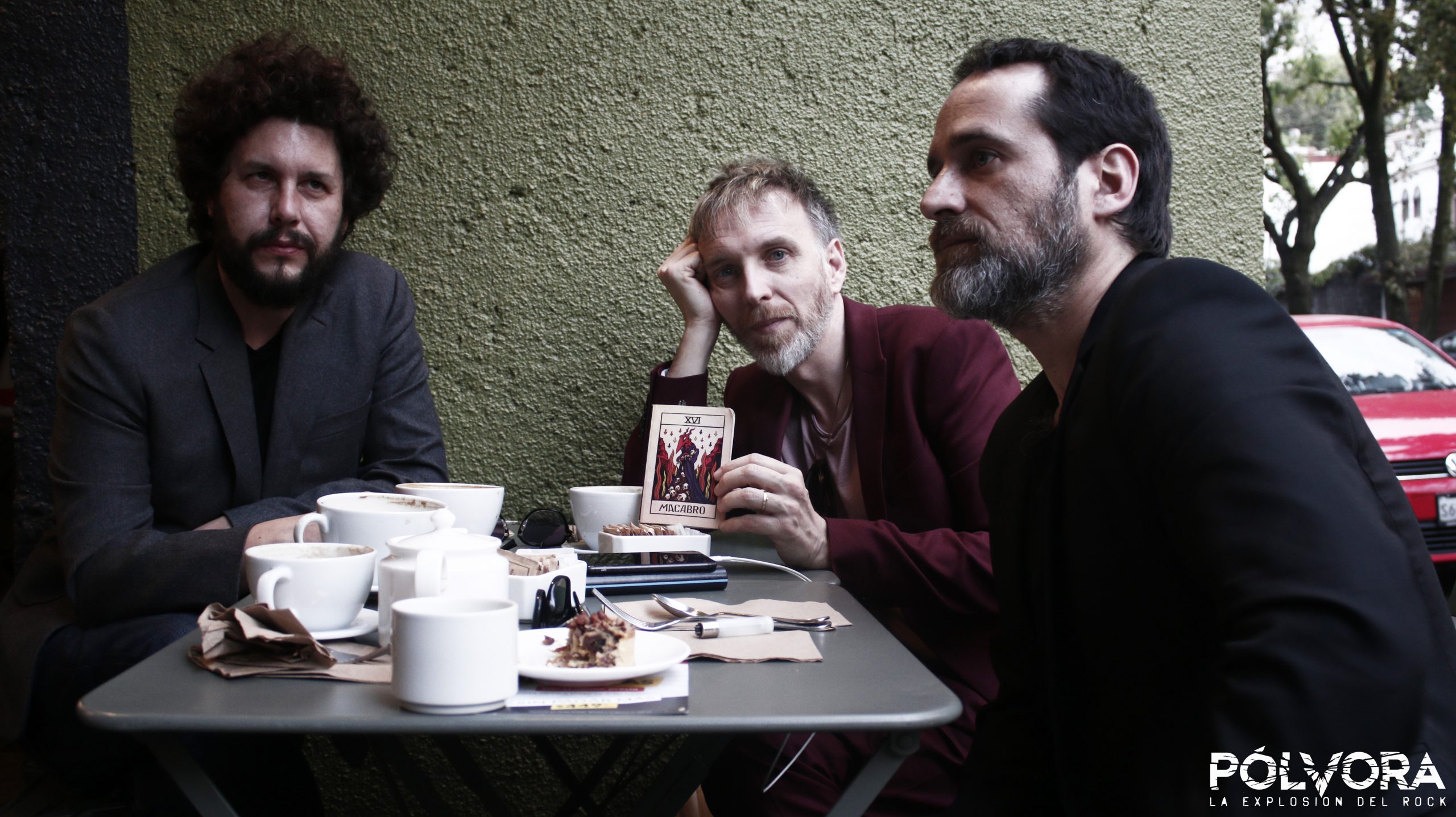 Elefantes - Entrevista