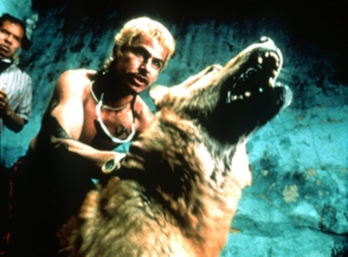 Amores Perros