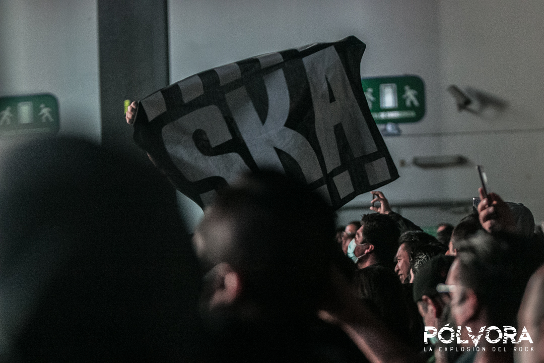 global ska fest