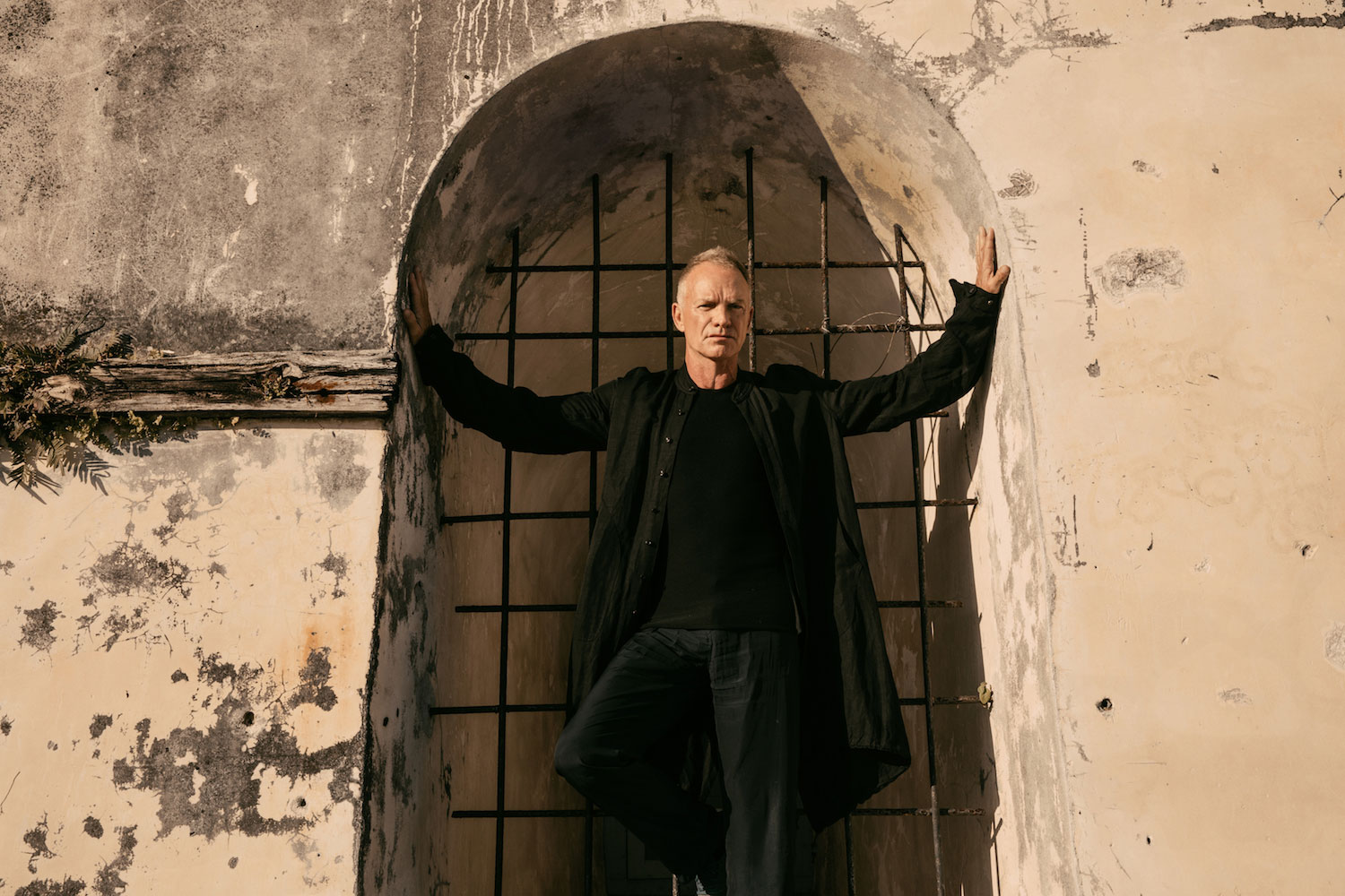 sting