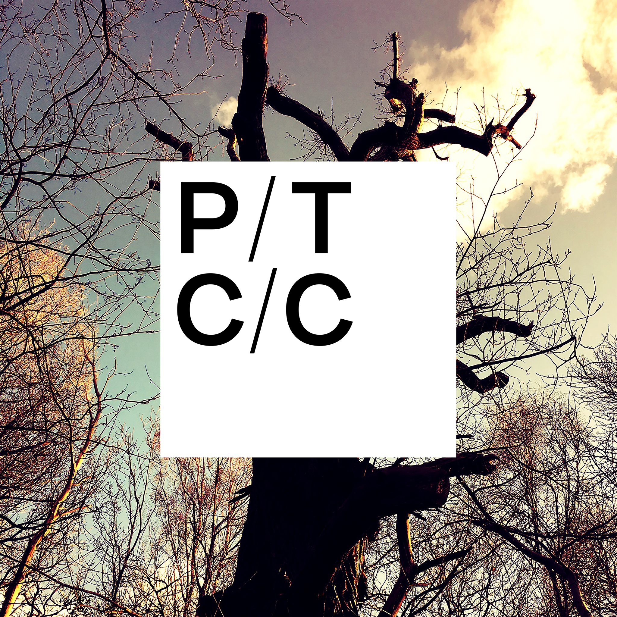 porcupine tree