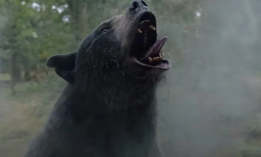 Oso Intoxicado