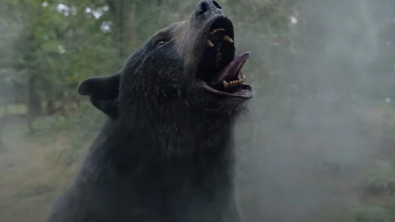 Oso Intoxicado