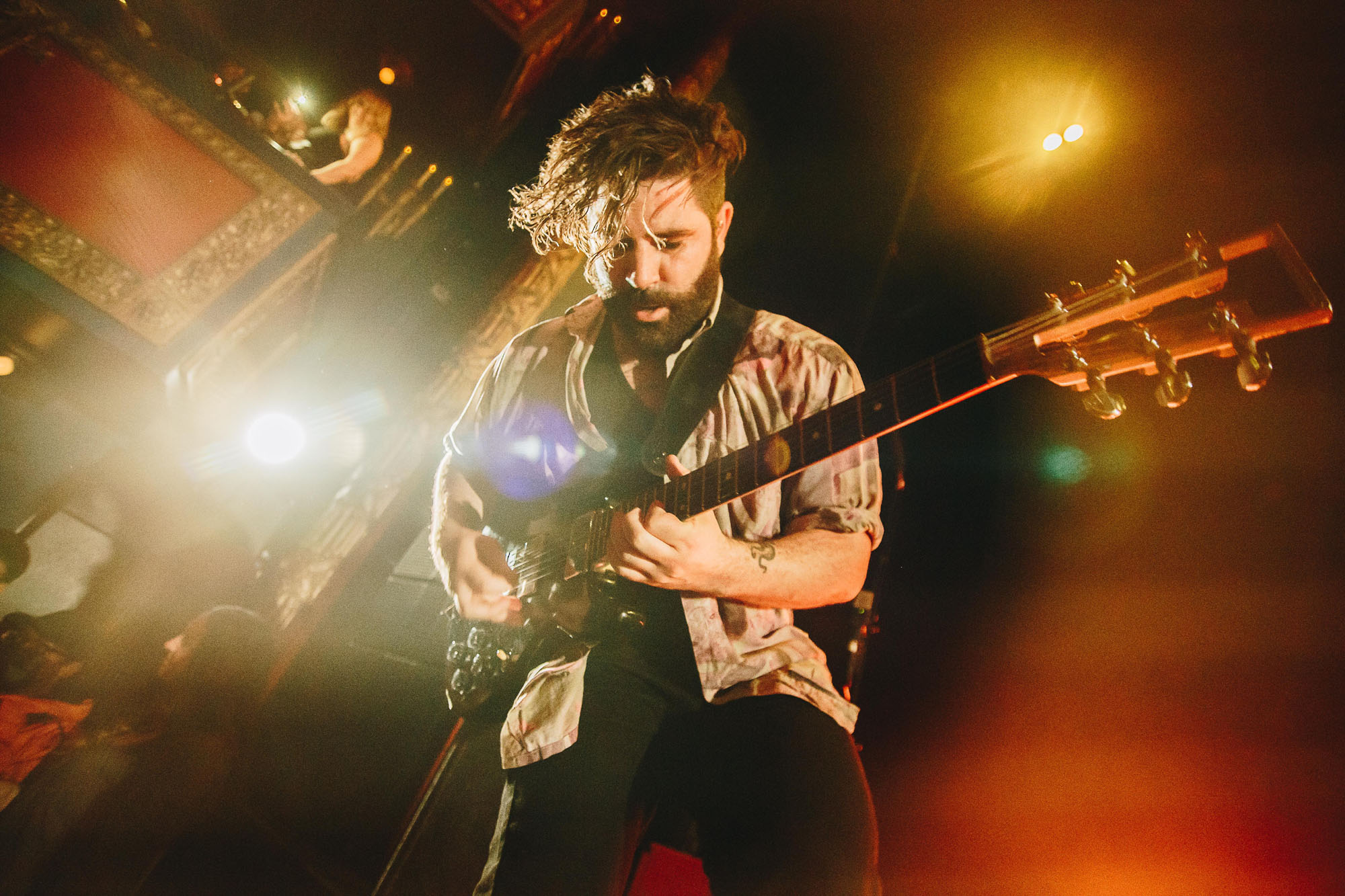foals