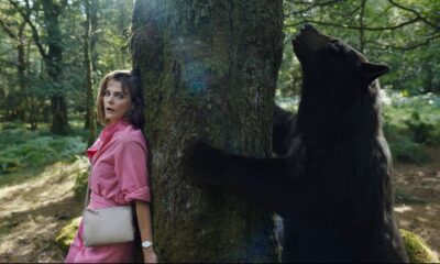 Sari y el oso al acecho