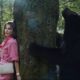Sari y el oso al acecho