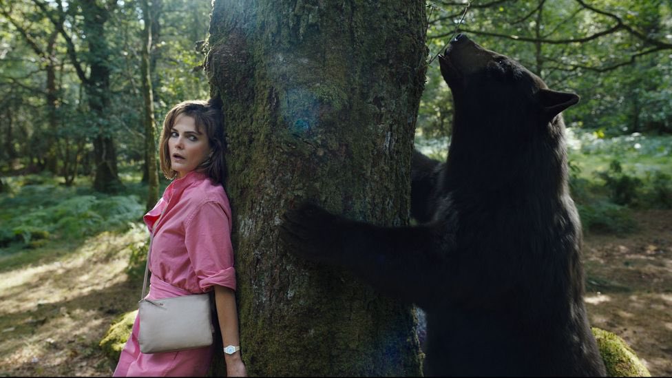 Sari y el oso al acecho