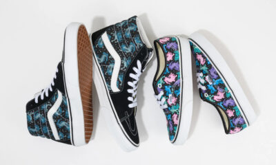 Vans ajolote