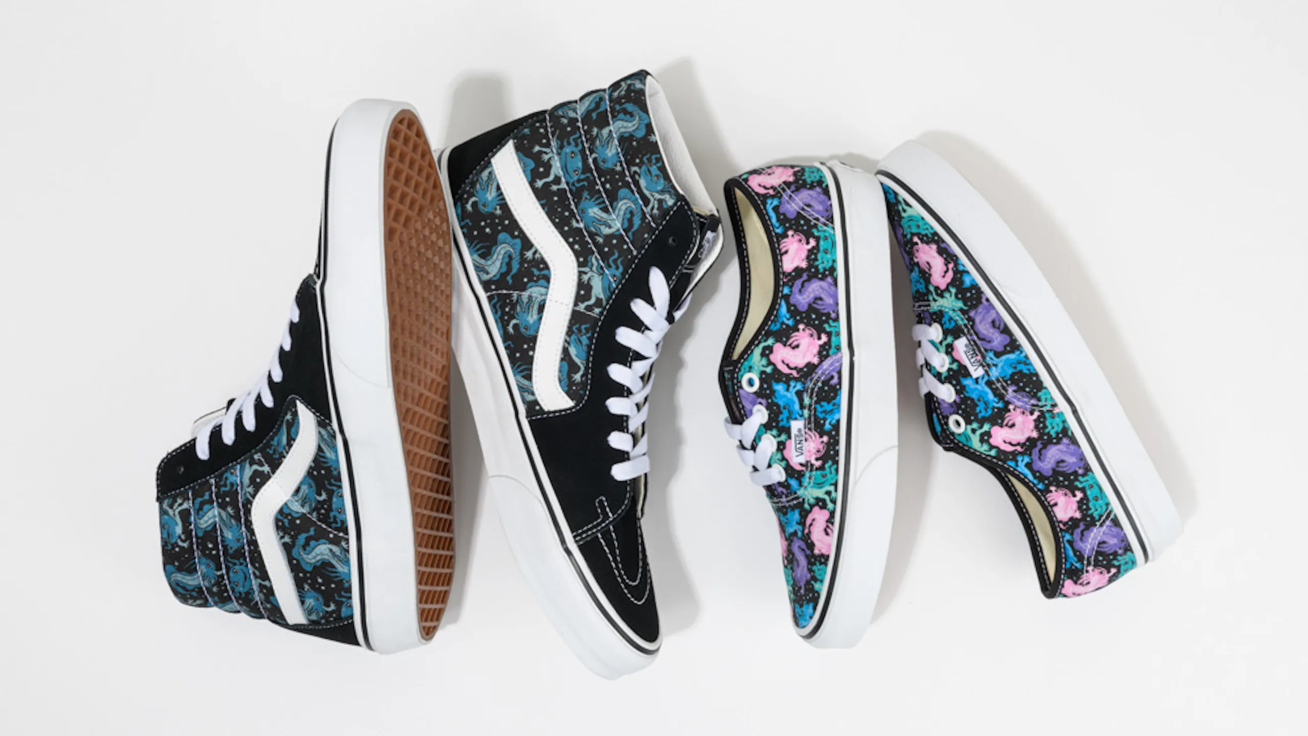 Vans ajolote