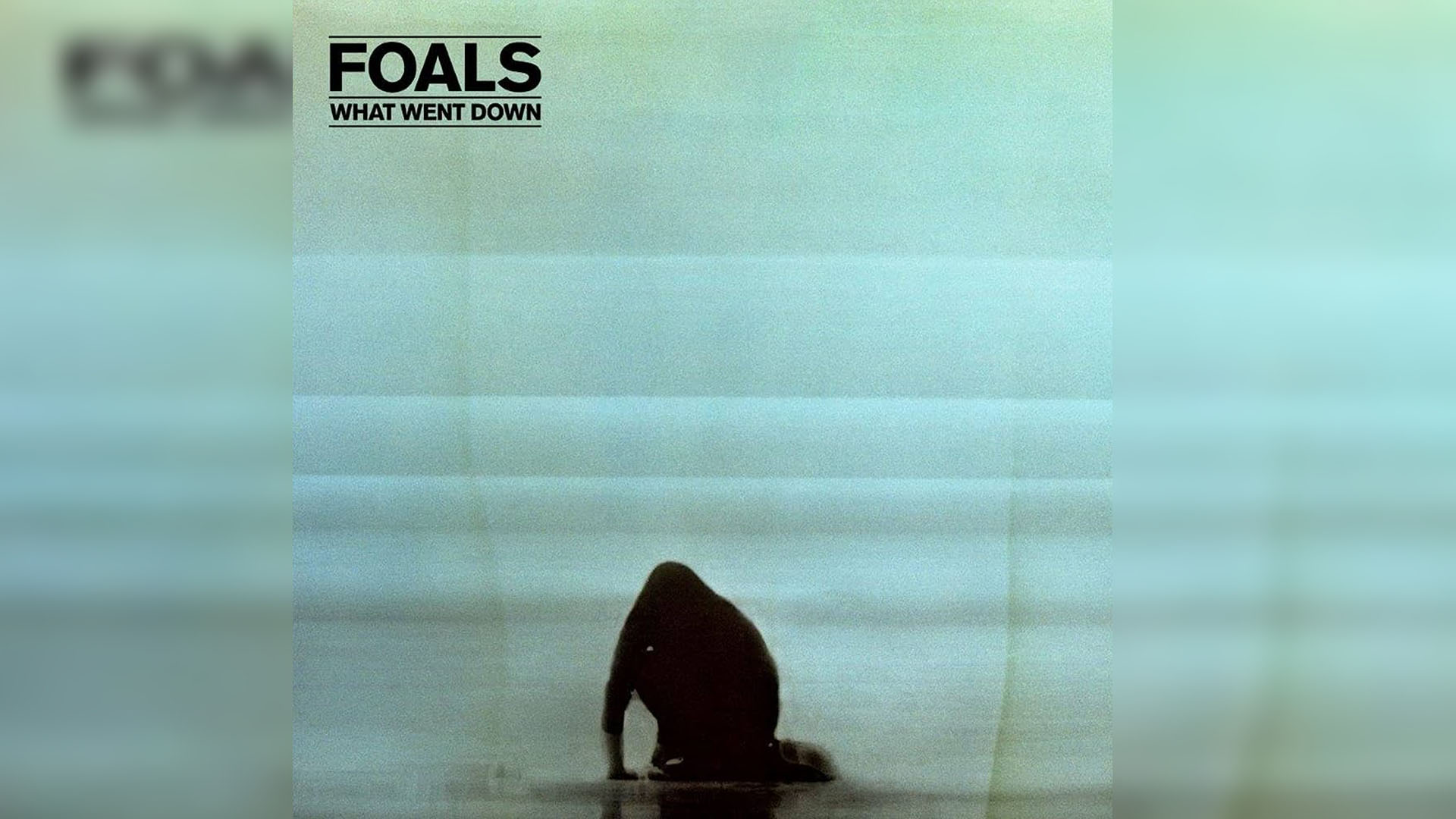 Foals, What went down
