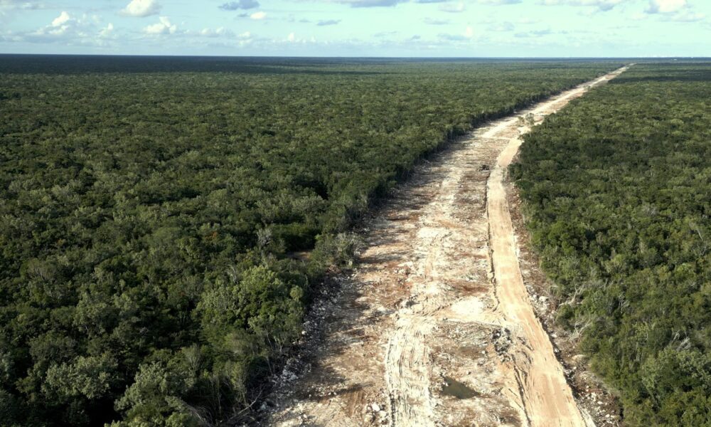 Uno de los filmes más llamativos del GIFF 26 fue El Tren y la Península, proyecto que se llevó una Mención Honorífica como Mejor Documental Mexicano