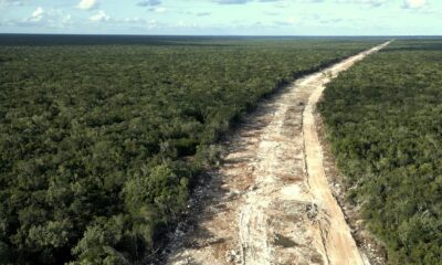 Uno de los filmes más llamativos del GIFF 26 fue El Tren y la Península, proyecto que se llevó una Mención Honorífica como Mejor Documental Mexicano