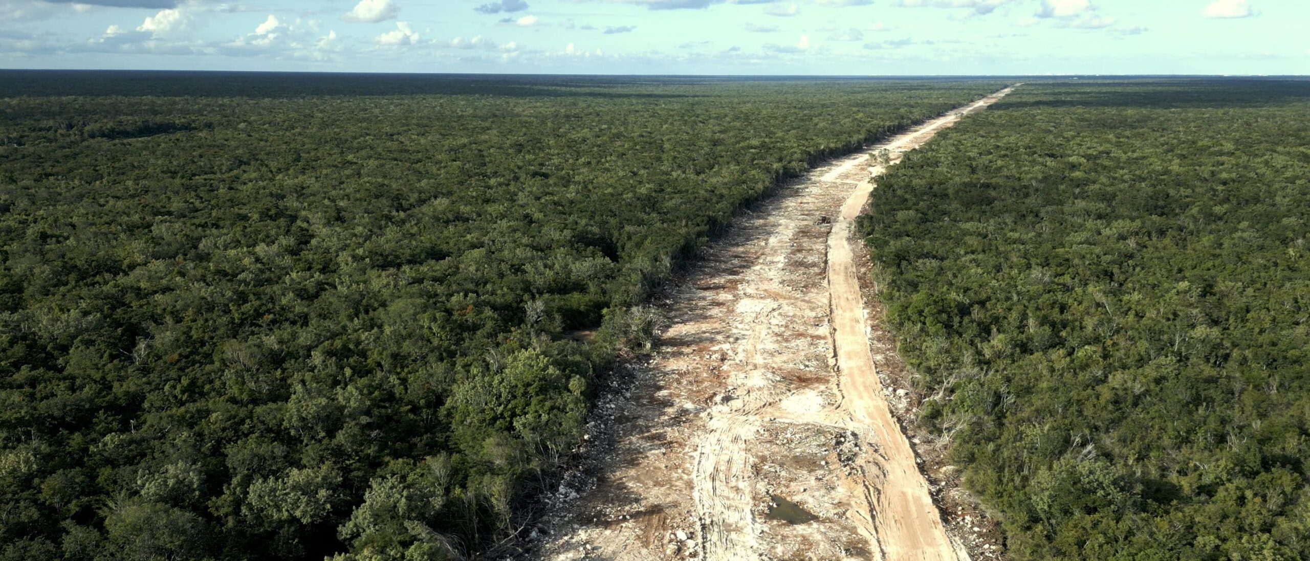 Uno de los filmes más llamativos del GIFF 26 fue El Tren y la Península, proyecto que se llevó una Mención Honorífica como Mejor Documental Mexicano
