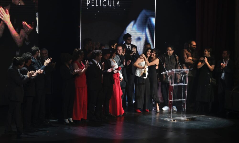 Aunque la ceremonia histórica del Ariel 65 parecía tener dos claros favoritos, fue El Norte sobre el Vacío quien se llevó el gran premio de la velada