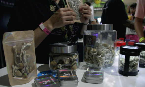 ExpoWeed en la Ciudad de México / Foto: Alejandro Piña