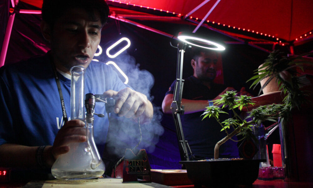 Weed Trade Show en la CDMX / Foto: Alejandro Piña
