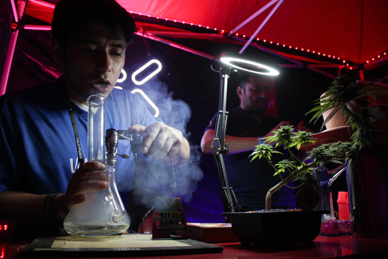 Weed Trade Show en la CDMX / Foto: Alejandro Piña