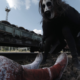 Reseña de El juego de la muerte