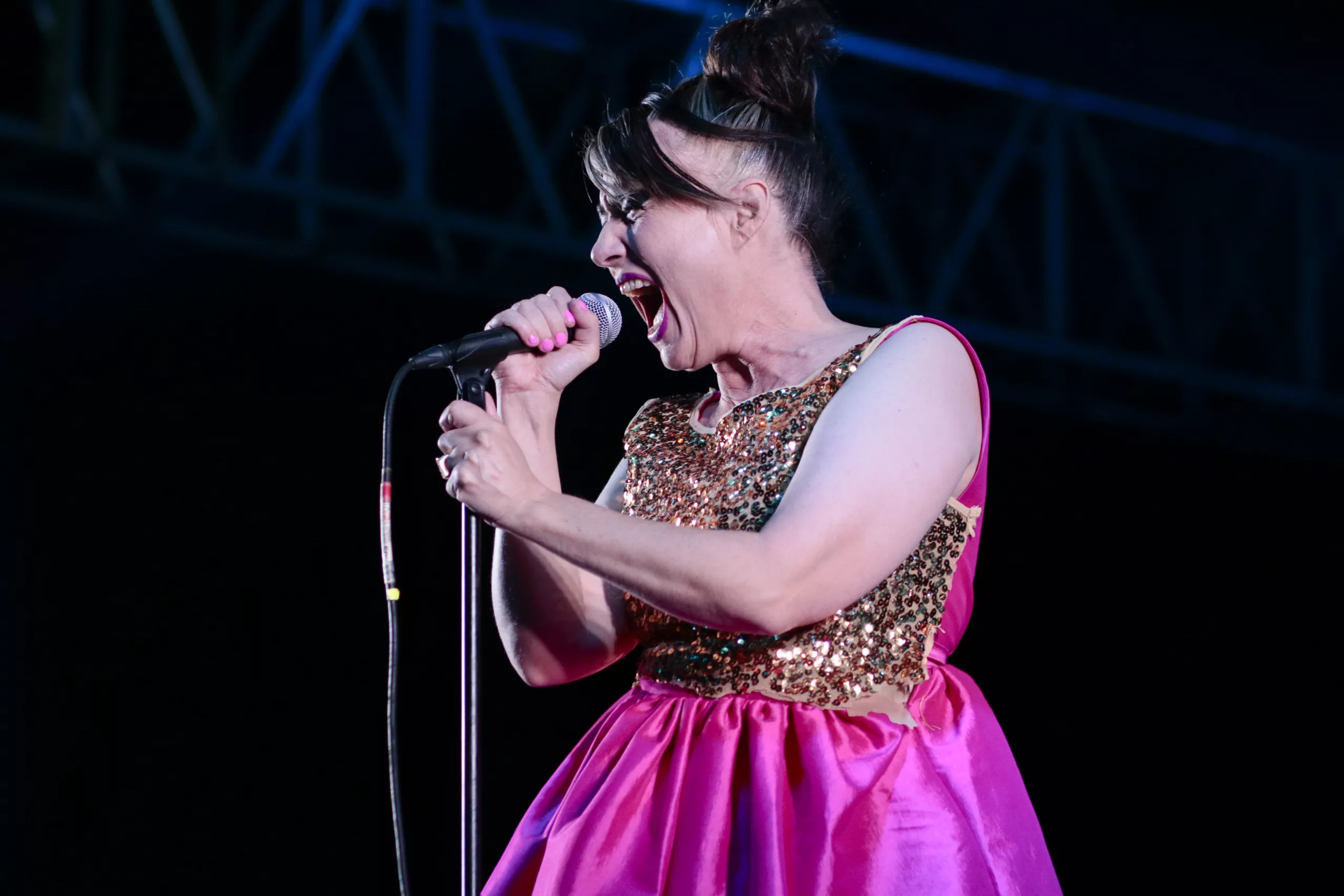 Bikini Kill en el Pabellón Oeste