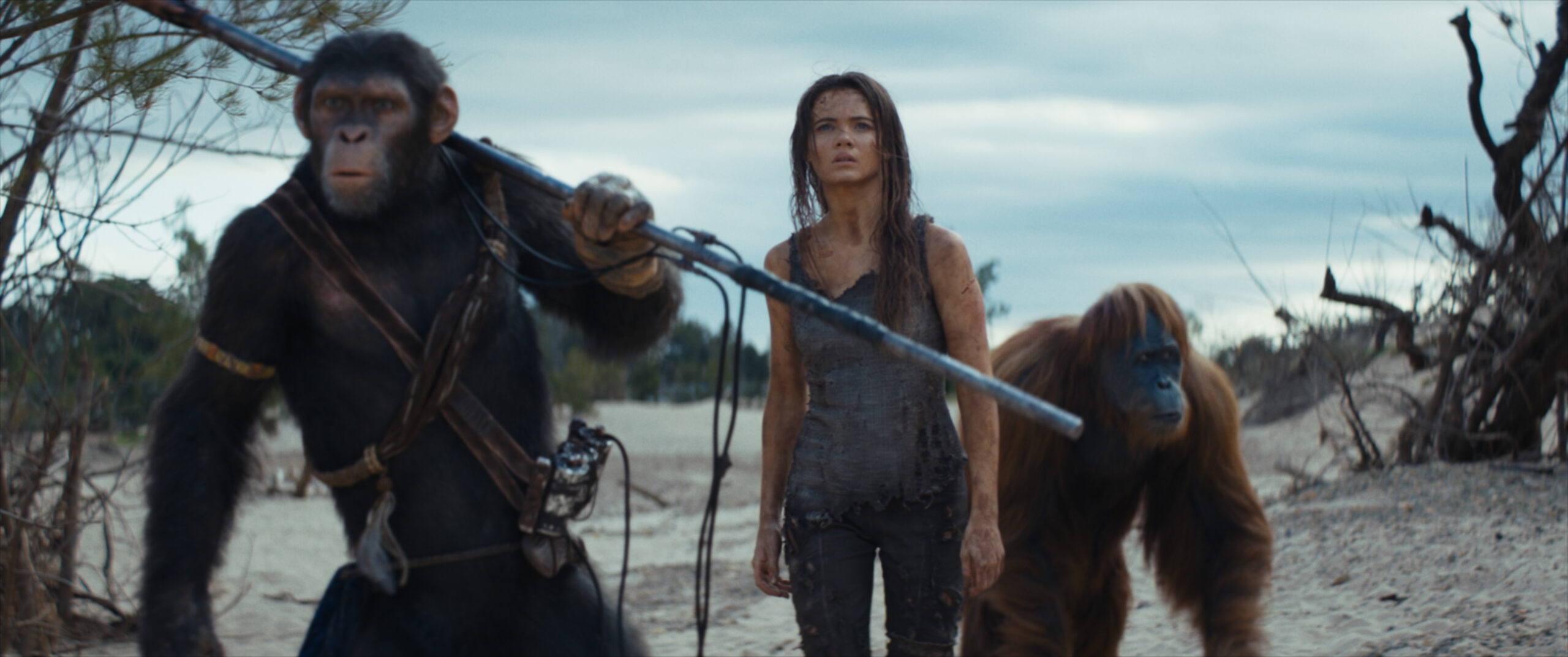 Reseña de El Planeta de los Simios: Nuevo Reino, película de ciencia ficción