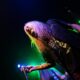 Sebastian Bach en el Lunario de la CDMX / Foto: Selene Ortiz - Eyescream Productions