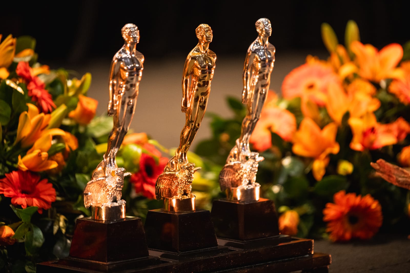 Desde Tótem hasta Desaparecer por Completo, las nominaciones del Premio Ariel 66 fueron anunciadas y aquí te damos los detalles de esta premiación