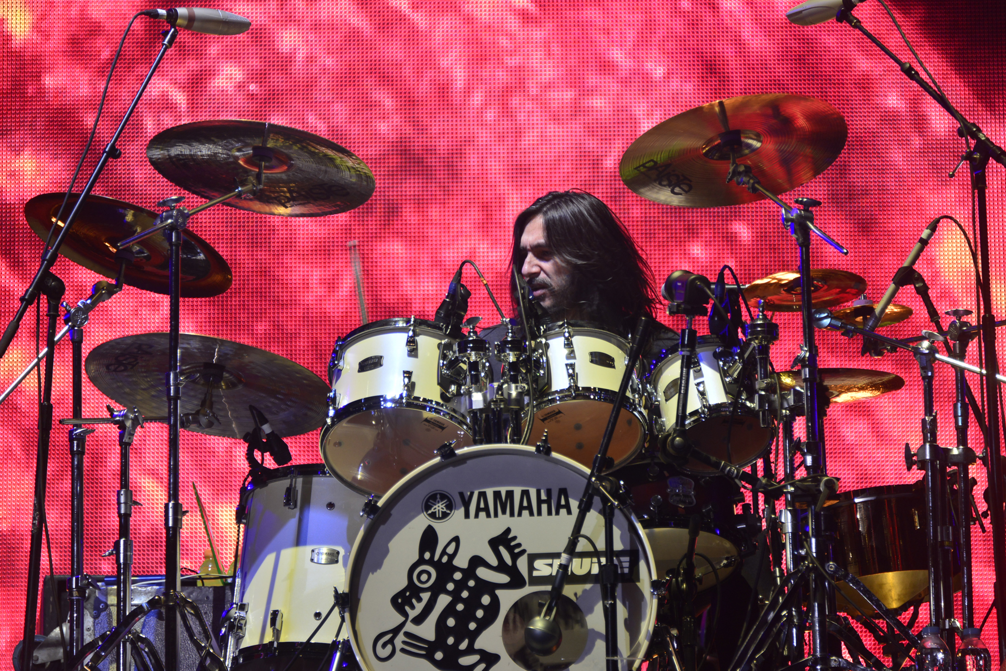 Alfonso André con Caifanes en el Vive Latino / Foto: Andre Dulché