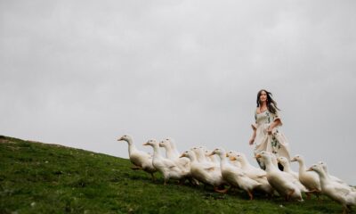 Kacey Musgraves estará en el Teatro Metropólitan