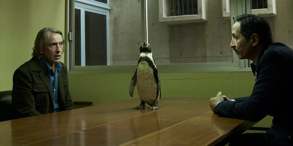 Crítica: Lecciones de un pingüino - Película de Drama y Comedia