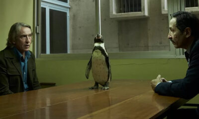 Crítica: Lecciones de un pingüino - Película de Drama y Comedia